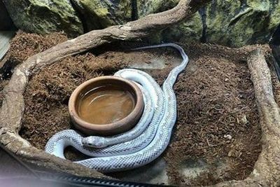 G2G Animal Garden: Entry Ticket - photo 4