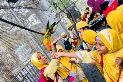 G2G Animal Garden: Entry Ticket - photo 3