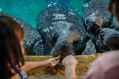 Singapore River Wonders: Entry Ticket - photo 3