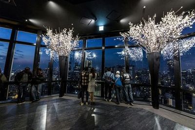 Tokyo Tower: Main Deck Admission + Tokyo Subway Ticket - photo 4