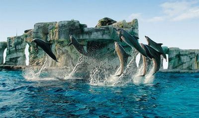 Theme Park Oltremare: Entry Ticket + Lunch - photo 3