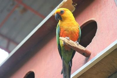 Langkawi Wildlife Park: Entry Ticket - photo 3