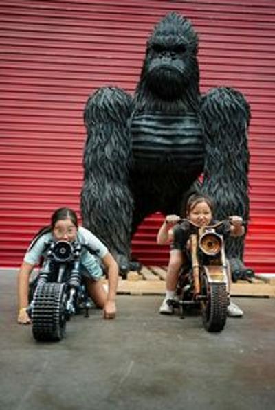 Metartworld Admission - photo 4