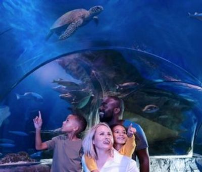 SEA LIFE Aquarium at American Dream: General Admission - photo 4