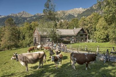 Open-Air Museum Ballenberg: Skip The Line Ticket - photo 4
