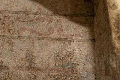 MOOM Matera Olive Oil Museum: Entry Ticket - photo 4