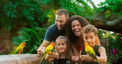 Discovery Cove: Entry Ticket - photo 3