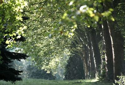 Arboretum de Chèvreloup: Entry Ticket - photo 3