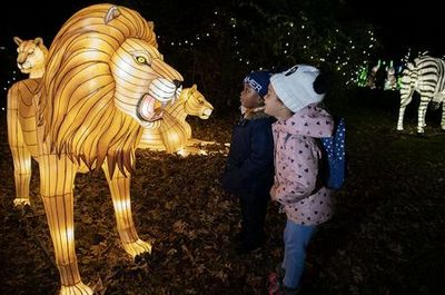 Bronx Zoo: Holiday Lights Tickets - photo 3
