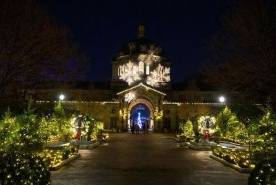 Bronx Zoo: Holiday Lights Tickets - photo 4