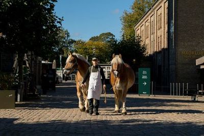 Home of Carlsberg: Entry Ticket + Drink - photo 3