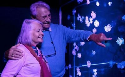 SEA LIFE Charlotte-Concord: Entry Ticket - photo 3