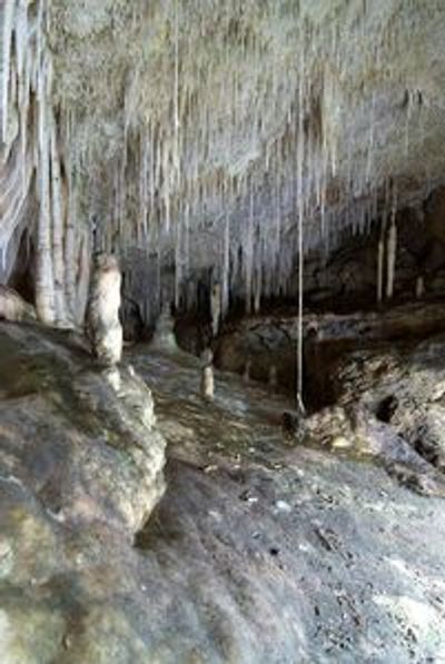 Campanet Caves: Skip The Line Ticket - photo 3