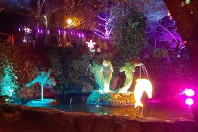 El Bosque Encantado: Entry Ticket - photo 4