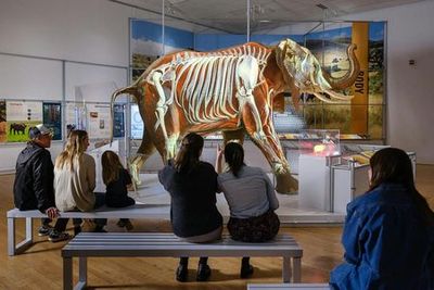 American Museum of Natural History (AMNH): All Ticketed Exhibitions - photo 4