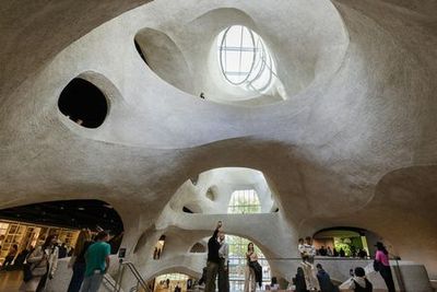 American Museum of Natural History (AMNH): All Ticketed Exhibitions - photo 3