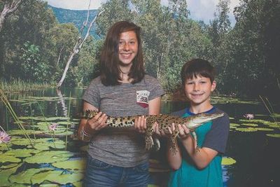 Hartley's Crocodile Adventures: Entry Ticket - photo 3