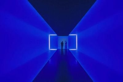 The Museum of Fine Arts, Houston: ALL ACCESS Ticket - photo 4