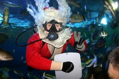 Underwater World Pattaya: Entry Ticket - photo 3