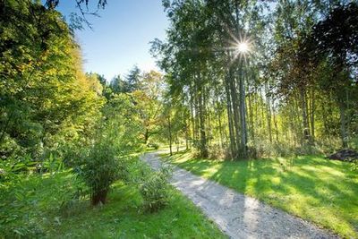 RHS Garden Harlow Carr: Entry Ticket - photo 3