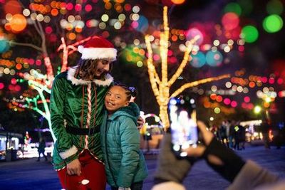 Dutch Winter Wonderland: Entry Ticket - photo 4