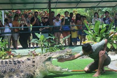 Crocodile Adventureland Langkawi: Entry Ticket - photo 4