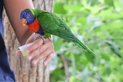 Lumigny Safari Reserve & Terre de Singes: Entry Ticket - photo 3