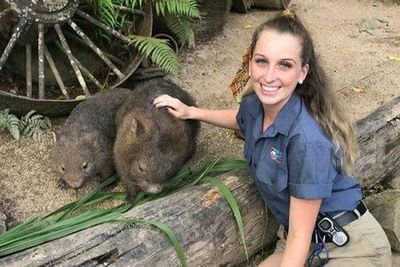 Kuranda Koala Gardens: Entry Ticket - photo 4