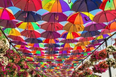 Dubai Miracle Garden: Entry Ticket + Hotel Transfer - photo 4