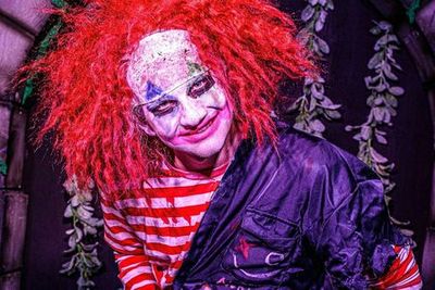 Castle Park: Castle Dark Entry Ticket - photo 4