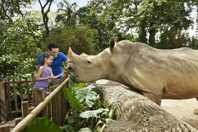 Singapore Zoo: Entry Ticket + Roundtrip Transport - photo 4