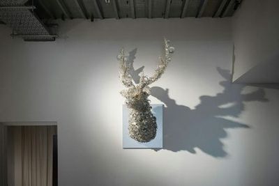 Ueshima Museum: Entry Ticket - photo 4