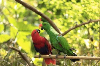 Lombok Wildlife Park: Entry Ticket - photo 3