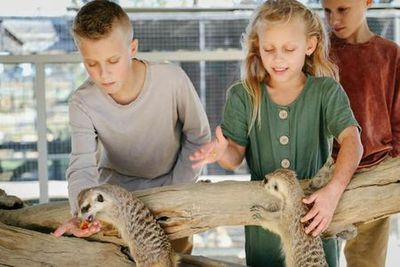 Hunter Valley Wildlife Park: Entry Ticket - photo 3