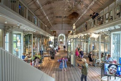 ARTIS Amsterdam Royal Zoo & Groote Museum: Skip-the-Line Entry Ticket - photo 3