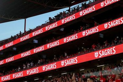 Estádio da Luz: Entry Ticket + Scarf Offer - photo 3