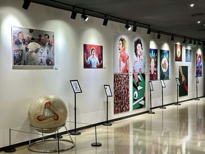 Football Faentasium: Entry Ticket - photo 4