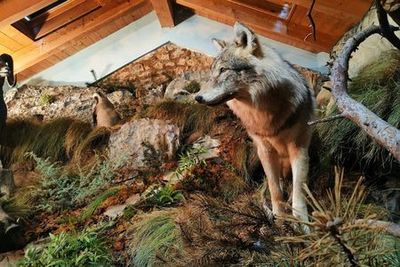 Museo Lusérn: Entry Ticket - photo 3