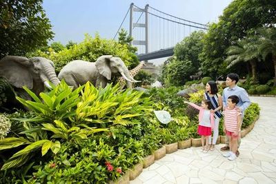 Noah's Ark: Entry Ticket - photo 3