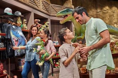 IMG Worlds of Adventure: Entry Ticket + Private Transfer - photo 3