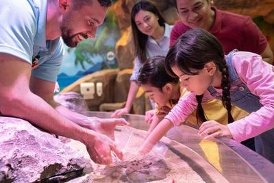 SEA LIFE Malaysia: Entry Ticket - photo 4