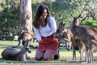 Lone Pine Koala Sanctuary: Entry Ticket - photo 3