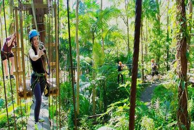 Currumbin Wildlife Sanctuary and TreeTop Challenge: Combo Ticket - photo 3