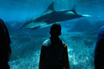 XPERIA: Ocean Journey Entry - photo 4