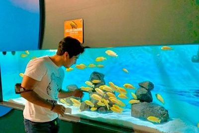 Michin Aquarium Puebla: Entry Ticket - photo 3