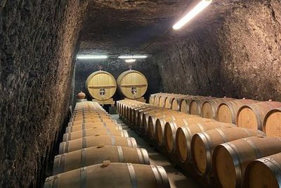 Loire Valley: Day Trip with Chateau de Chambord Entry + Wine Tasting & Lunch - photo 4