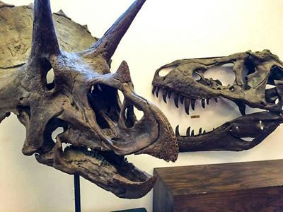 Children's Discovery Museum & Judy Garland Museum: Entry Ticket - photo 4