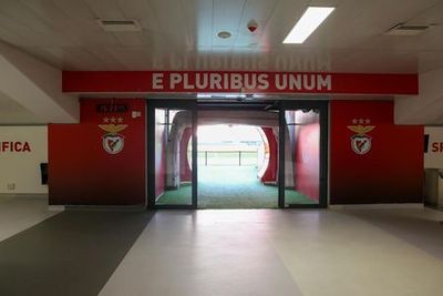Estádio da Luz & Benfica Museum: Entry Ticket + Wine Tasting + Scarf Offer - photo 4