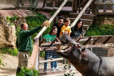 Selwo Aventura Estepona: Входной билет - photo 4