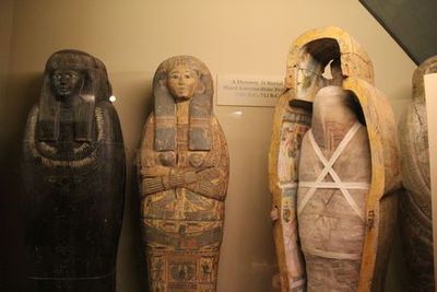 Chicago: Field Natuurhistorisch Museum Kaartje en Audiotour - photo 4